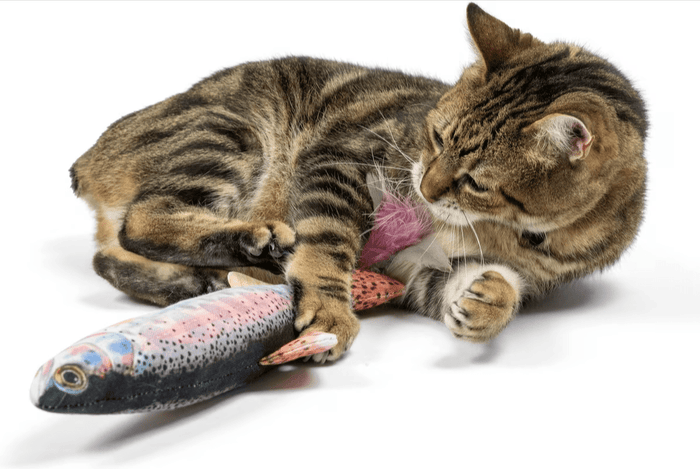 Huxley & Kent Cat 14.5" Kicker Rainbow Trout Catnip Crinkle Plush Cat Toy CHEAPER THAN CHEWY (Copy) - Glad Dogs Nation | ALL Profits Donated