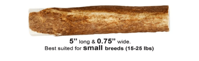 $1 OFF! KONG Wild Whole Elk Antler Dog Chew Small - Glad Dogs Nation | ALL Profits Donated