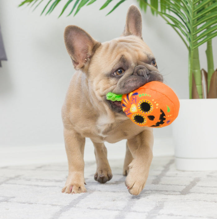 15% OFF! Tiny Tuff Pumpkin Treats Power Plush Dog Toys 2 Pack - Glad Dogs Nation | ALL Profits Donated