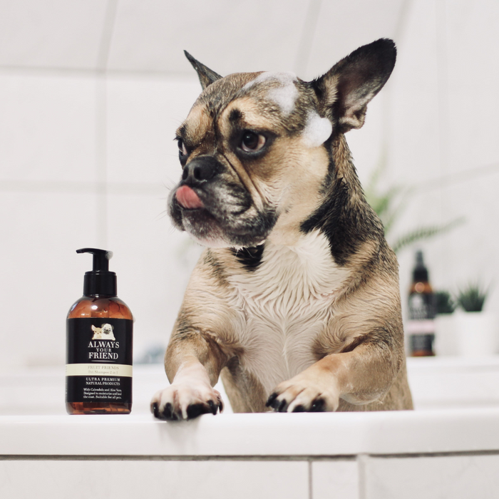 2-in-1 Pet Shampoo and Conditioner - Fruit Friends (250ml)