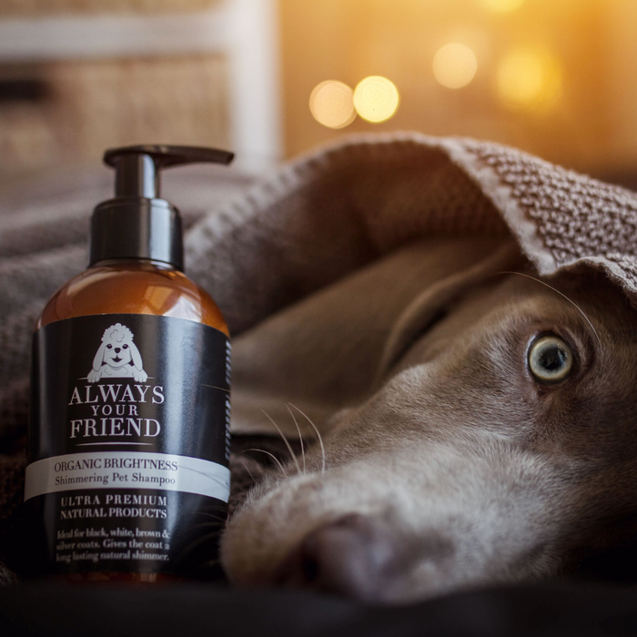 2-in-1 Pet Shampoo and Conditioner - Organic Brightness (250ml)