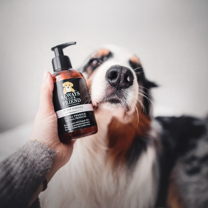 2-in-1 Pet Shampoo and Conditioner - Puppy Powder (250ml)