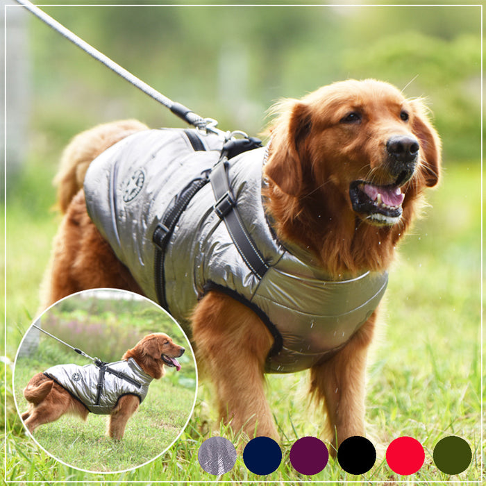 2-in-1 Waterproof Winter Pet Jacket