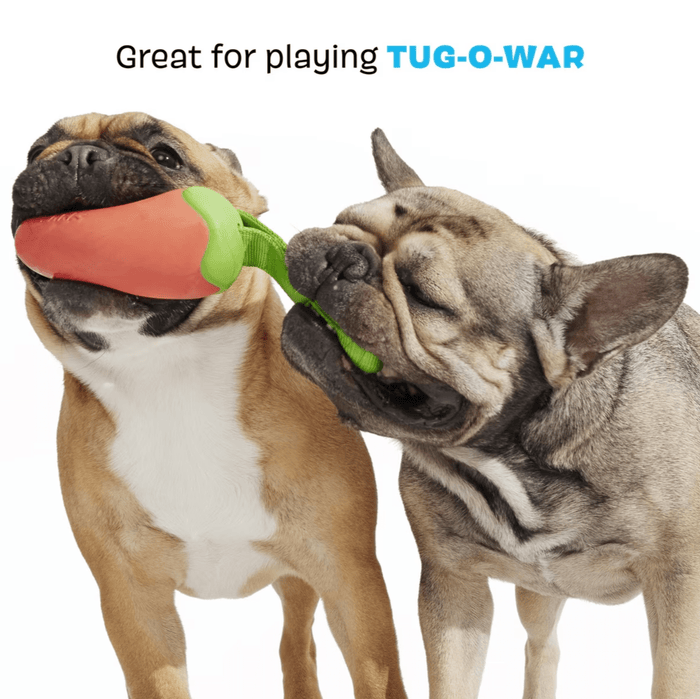 BARK Super Chewer Habanero Pupper Dog Chew Toy - Glad Dogs Nation | ALL Profits Donated