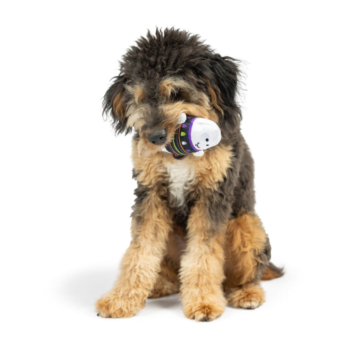 15% OFF! Tiny Tuff Boo Buddies Power Plush Dog Toys 2 Pack - Glad Dogs Nation | ALL Profits Donated