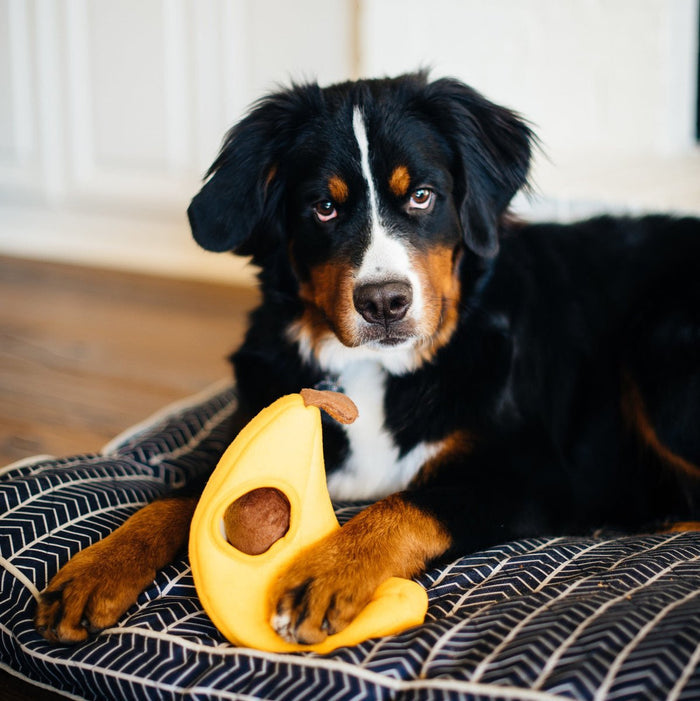 $3 OFF! ZippyPaws Zippy Burrow® Monkeys ‘n Banana - Glad Dogs Nation | ALL Profits Donated