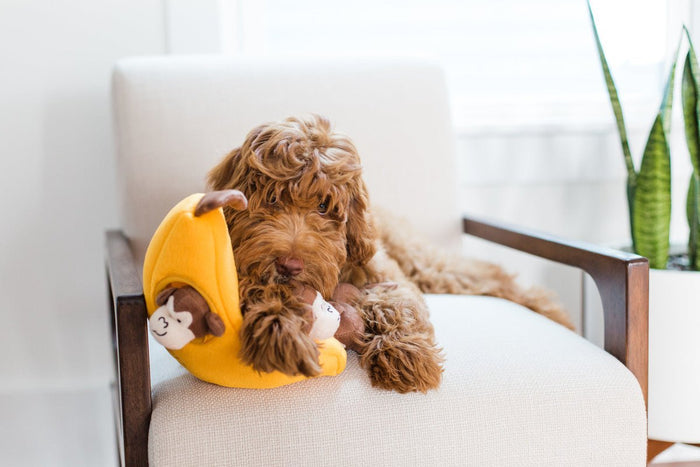 $3 OFF! ZippyPaws Zippy Burrow® Monkeys ‘n Banana - Glad Dogs Nation | ALL Profits Donated