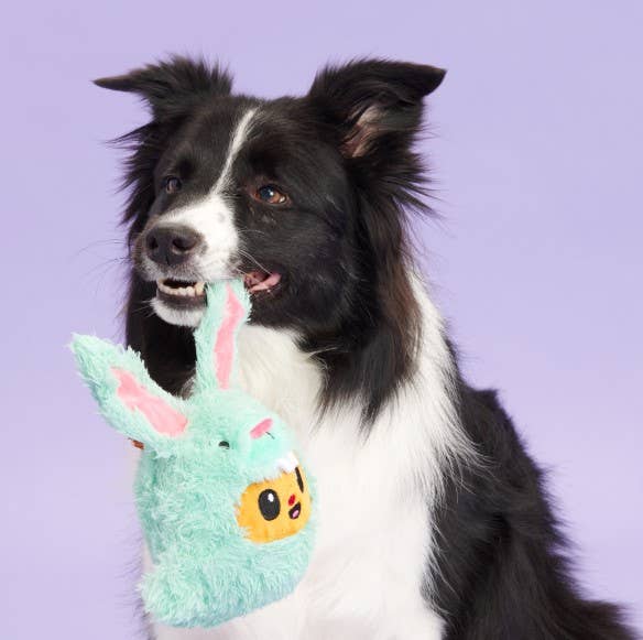 BARK Buddy The Nutty Bunny Easter Plush Squeaky Dog Toy - Glad Dogs Nation | ALL Profits Donated