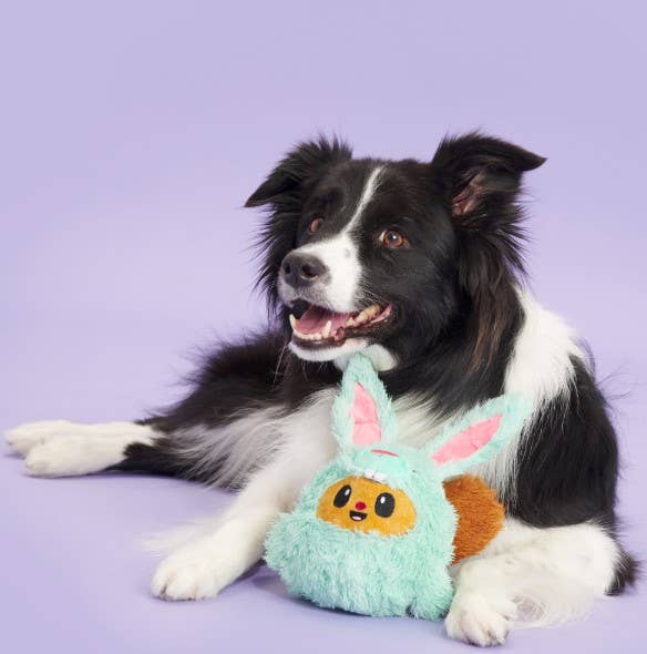BARK Buddy The Nutty Bunny Easter Plush Squeaky Dog Toy - Glad Dogs Nation | ALL Profits Donated