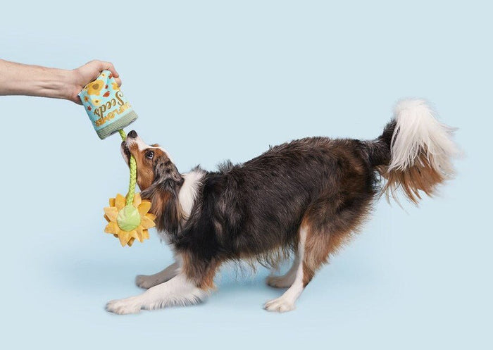 BARK Funflower Seeds Rope Dog Toy - Glad Dogs Nation | ALL Profits Donated
