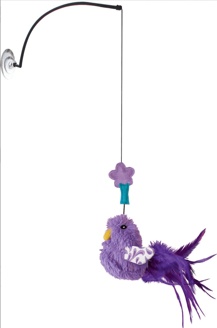 KONG Connects Window Teaser Catnip Cat Toy CHEAPER THAN CHEWY - Glad Dogs Nation | ALL Profits Donated