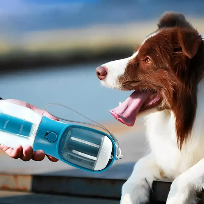 3-in-1 Pet Water & Food Bottle