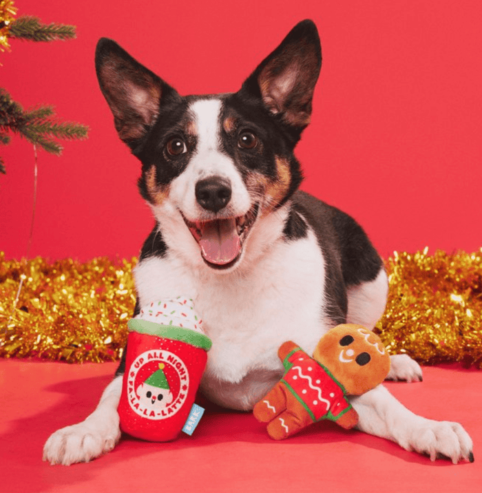 BARK Ginger Brew Crew Squeaky Dog Toy 2 Piece Set: XSmall &Small Dogs - Glad Dogs Nation | ALL Profits Donated