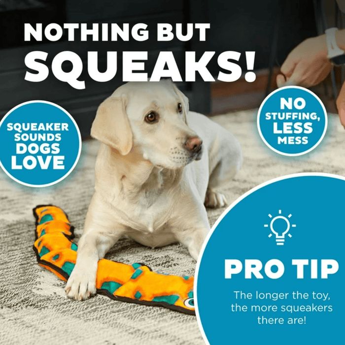 $3 OFF! Outward Hound Durablez Stuffing - Free Squeaky Interactive Snake Dog Toy, Orange, XL - Glad Dogs Nation | ALL Profits Donated