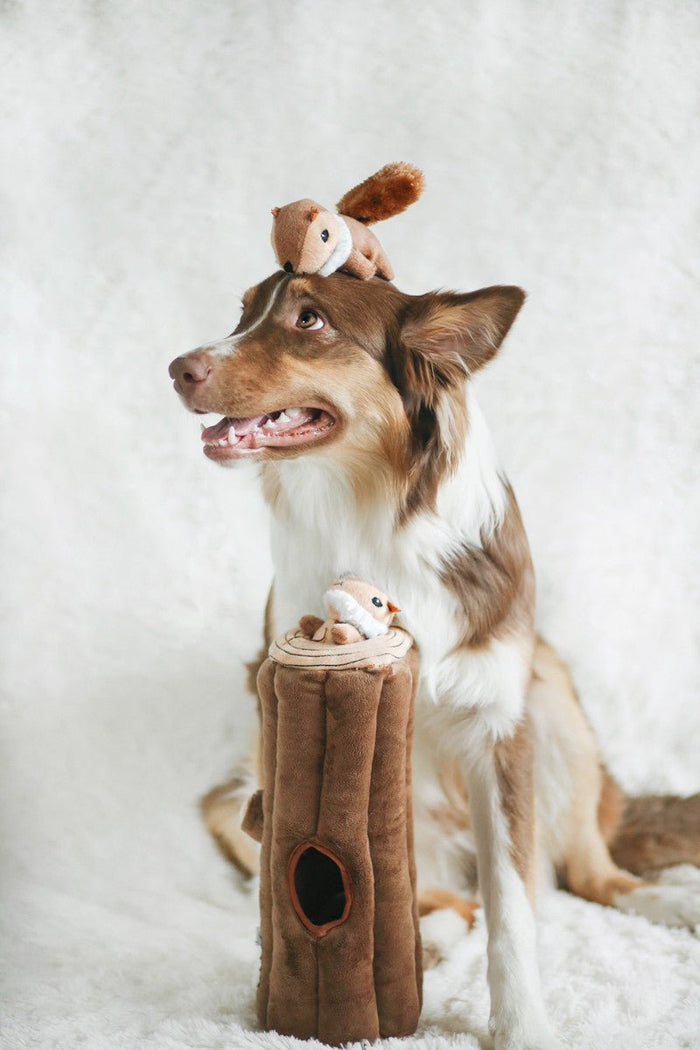 $3 OFF! ZippyPaws Burrow Squeaky Hide & Seek Plush Dog Toy, Log & Chipmunks - Glad Dogs Nation | ALL Profits Donated