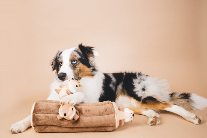 $3 OFF! ZippyPaws Burrow Squeaky Hide & Seek Plush Dog Toy, Log & Chipmunks - Glad Dogs Nation | ALL Profits Donated