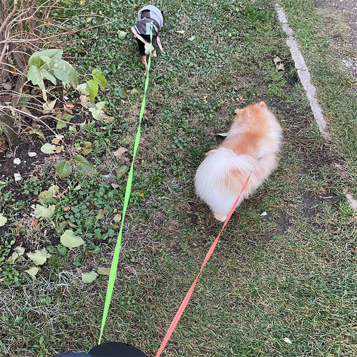 360° Swivel Double Pet Leash