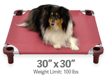 4Legs4Pets Elevated Dog Bed: 30"x30" - Glad Dogs Nation | ALL Profits Donated