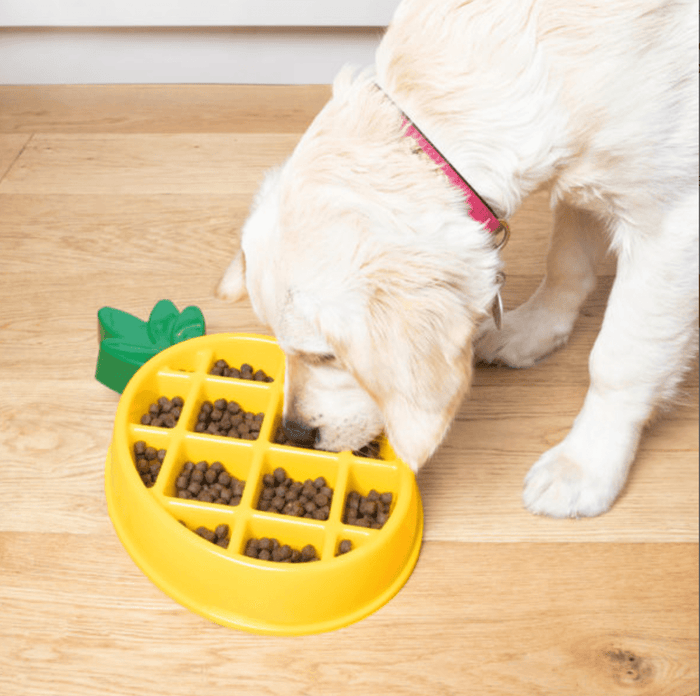 50% OFF! ZippyPaws Slow Feeder Happy Bowl Pineapple - Glad Dogs Nation | ALL Profits Donated