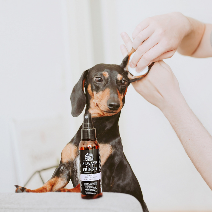 Advanced Pet Ear Cleanser & Deodorant – 2-in-1 Lotion (100ml)