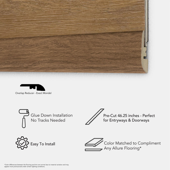 Allure Gingermisu Maple LVP 46 inch Overlap Reducer Transition Strip