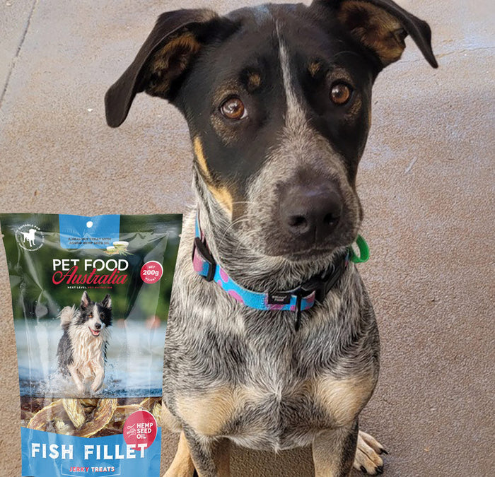 Australian Wild-Caught Fish Fillets — 200g