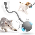 Self-rolling interactive pet ball, grey