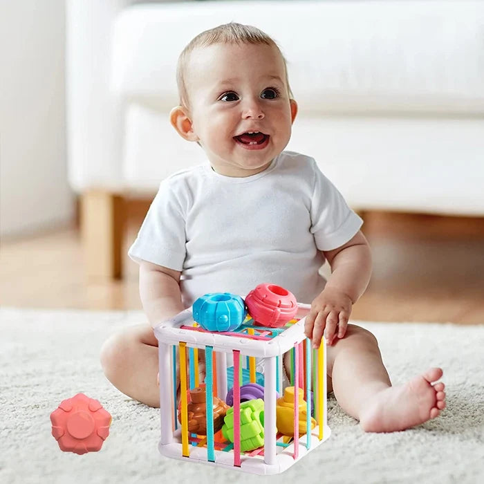 Baby Sensory Shape Sorter – Fun & Educational Toy