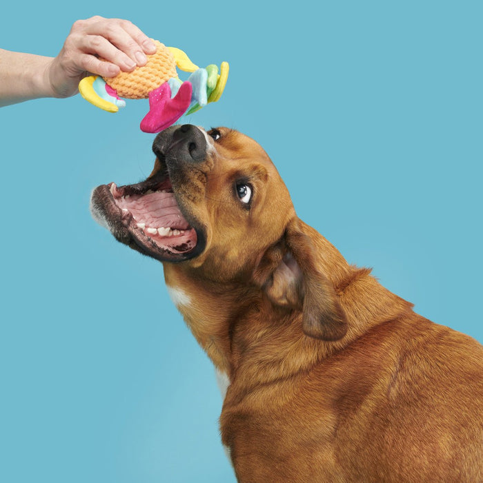 $1 OFF! BARK Ahi Tina Plush Dog Toy for Thrashers - Glad Dogs Nation | ALL Profits Donated
