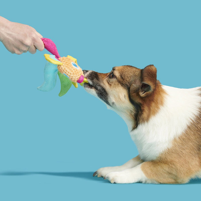 $1 OFF! BARK Ahi Tina Plush Dog Toy for Thrashers - Glad Dogs Nation | ALL Profits Donated