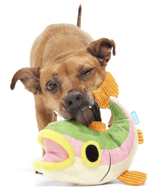 NEW! BARK Brooke Trout Squeaky & Soft Crinkle Plush Dog Toy - Glad Dogs Nation | ALL Profits Donated