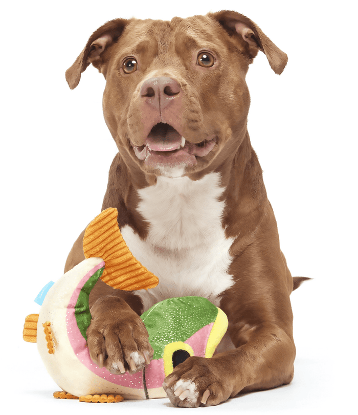 NEW! BARK Brooke Trout Squeaky & Soft Crinkle Plush Dog Toy - Glad Dogs Nation | ALL Profits Donated
