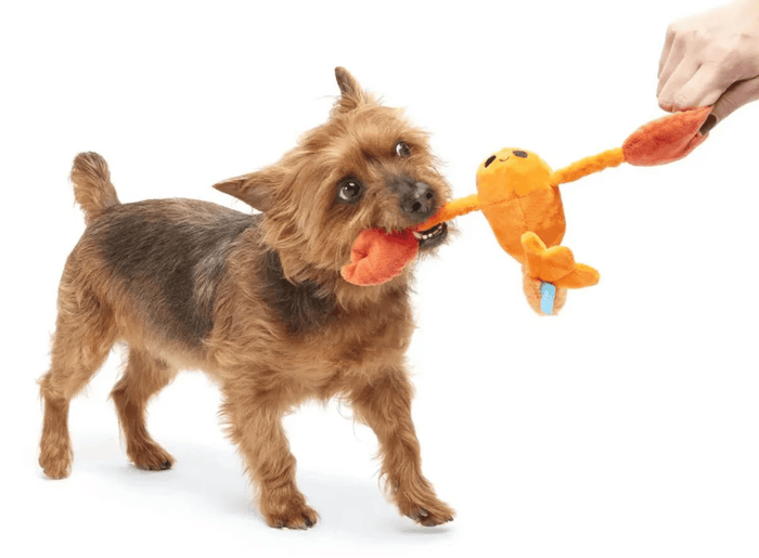 BARK Della Crawfish Stretch Crinkle & Squeaky Plush Dog Toy: XS/S - Glad Dogs Nation | ALL Profits Donated