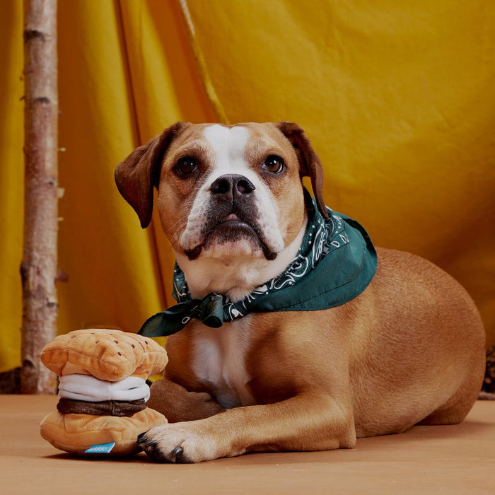 BARK Plush More Smores Dog Toy - Glad Dogs Nation | ALL Profits Donated