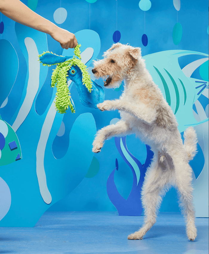 BARK Shifty Sid the Squid Squeak & Crinkle Dog Toy - Glad Dogs Nation | ALL Profits Donated