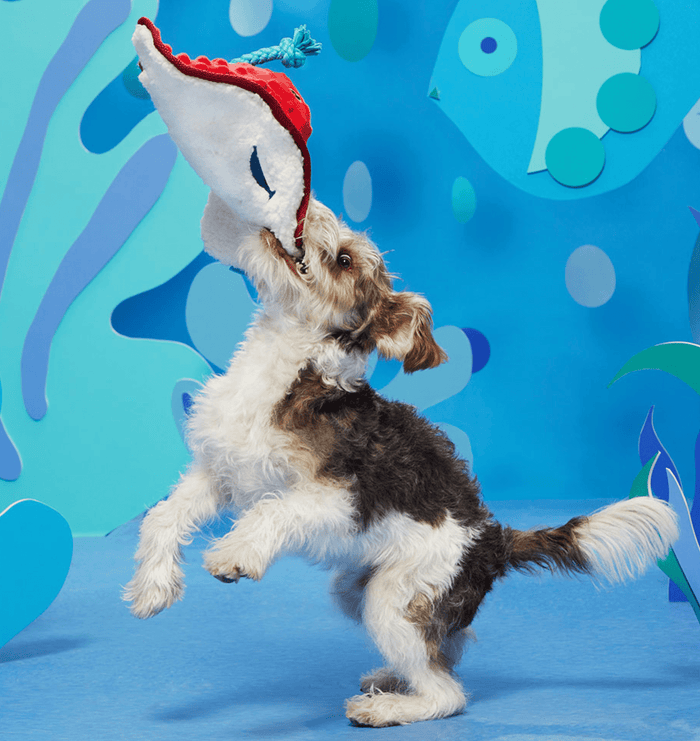 BARK Sting Crosby the Ray Squeak, Crinkle & Rope Dog Toy BEST SELLER - Glad Dogs Nation | ALL Profits Donated