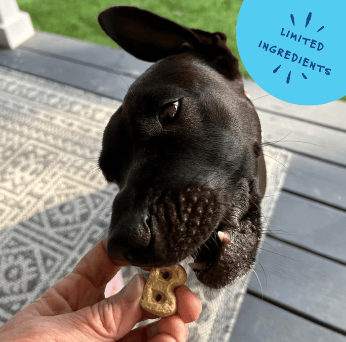 Bocce's Bakery Everyday Sunday Roast Biscuits Crunchy Dog Treats - Glad Dogs Nation | ALL Profits Donated