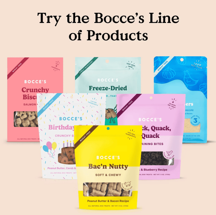 Bocce's Bakery Turmeric Latte Biscuit Dog Treats - Glad Dogs Nation | ALL Profits Donated