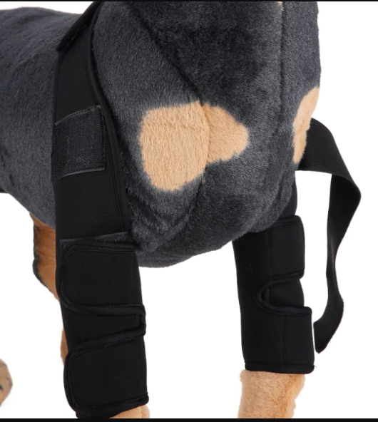 Canine recovery knee guard