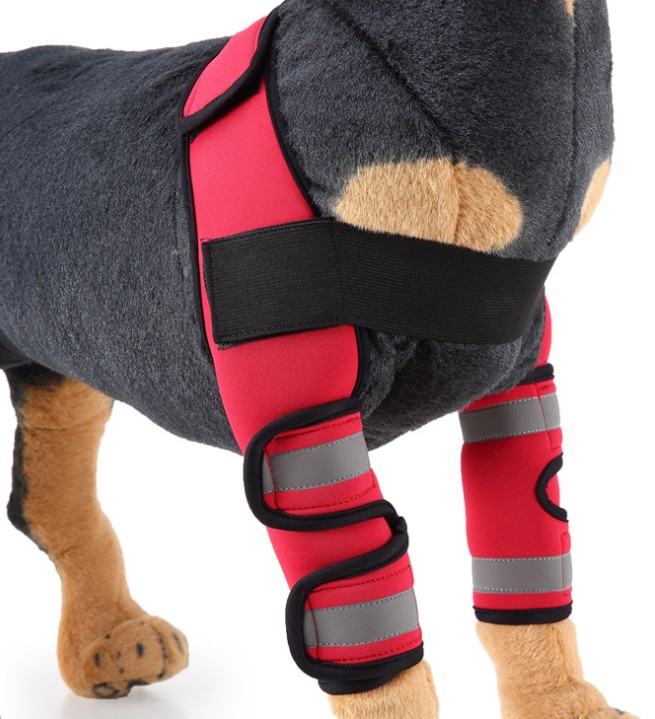 Canine Recovery Knee Guard
