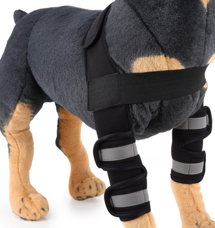 Canine Recovery Knee Guard