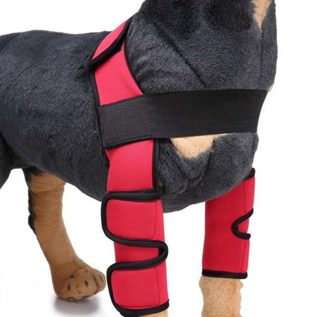Canine Recovery Knee Guard