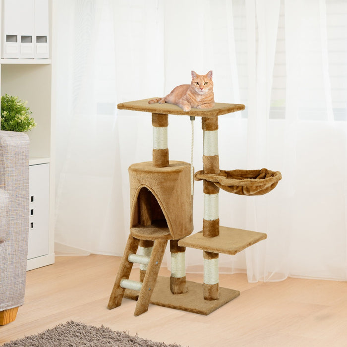 Cat activity tree