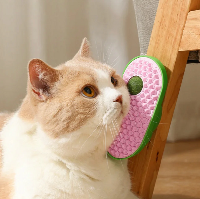CatZenith Groom & Nibble Brush