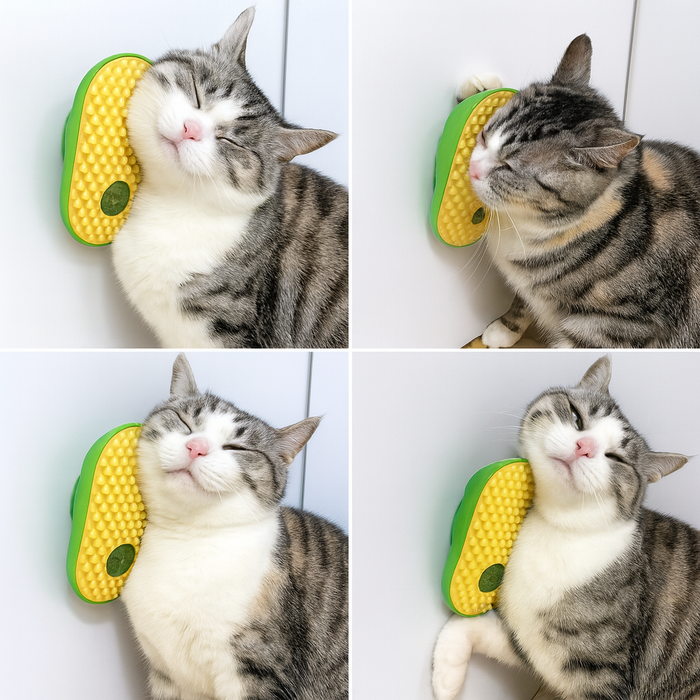 CatZenith Groom & Nibble Brush