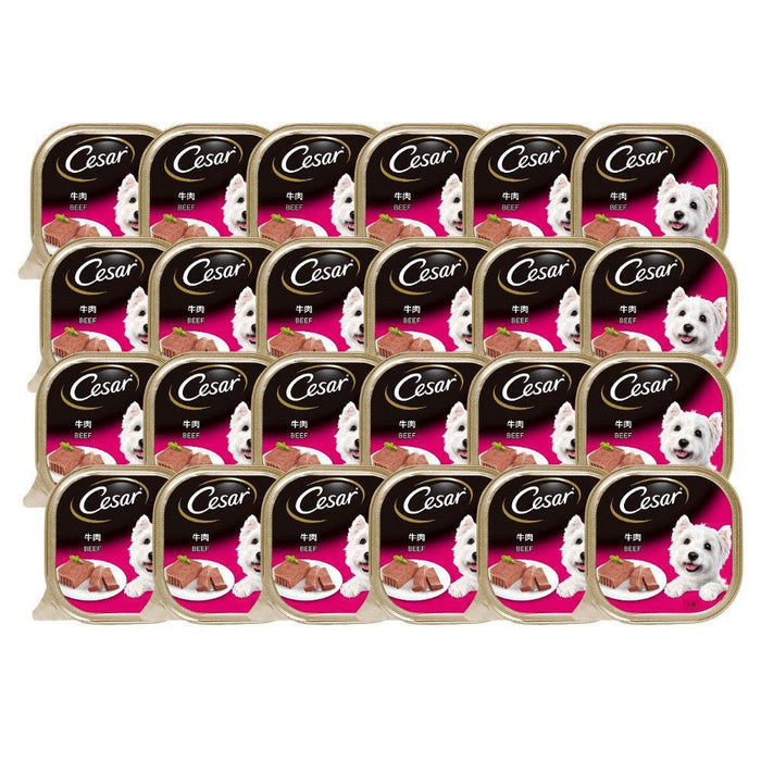 Cesar Dog Tray Wet Food Beef