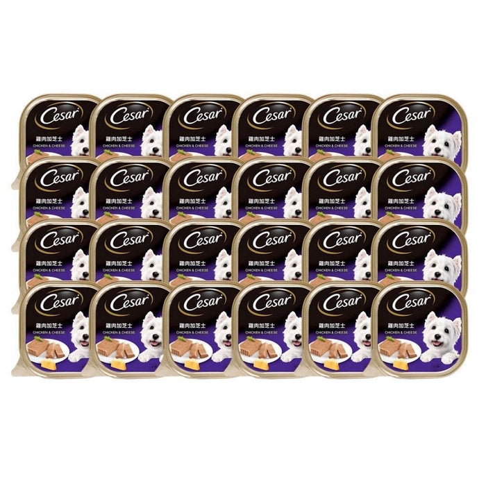 Cesar Dog Tray Wet Food Chicken & Cheese
