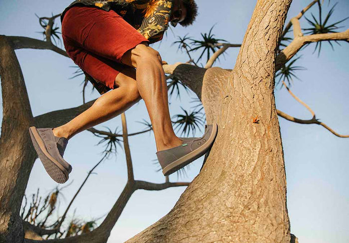 Sanuk Vagabond slip-on shoes in gray with canvas upper and cushioned sole, worn by man climbing a tree.