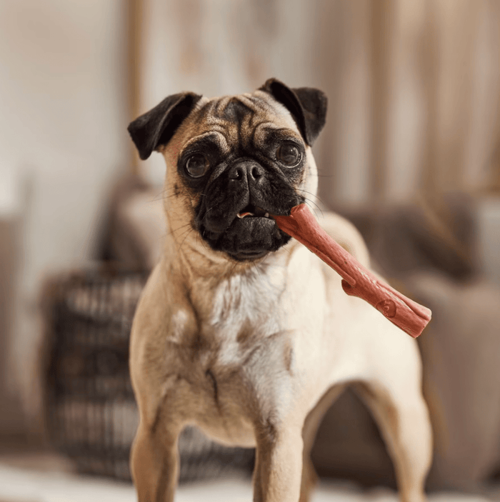 Ethical Pet Bambone Bam - Bones Plus Branch Beef Dog Toy Chew: 2 Sizes - Glad Dogs Nation | ALL Profits Donated