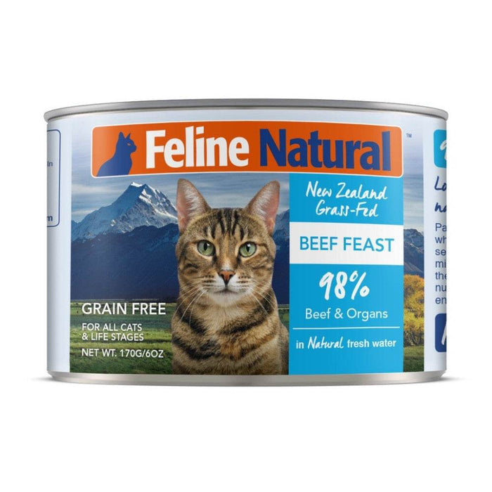 Feline Natural Cat Food 170g Beef